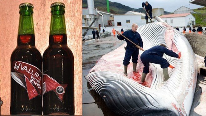 birra con testicoli balena